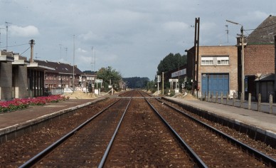 Lebbeke - TH 80-7508.jpg